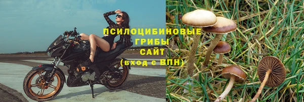 крисы Волосово
