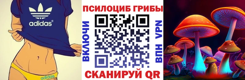 Псилоцибиновые грибы Psilocybe Голицыно
