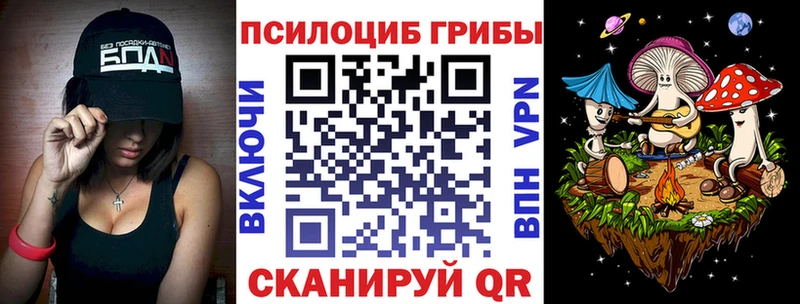 Псилоцибиновые грибы Cubensis  купить наркоту  Голицыно 